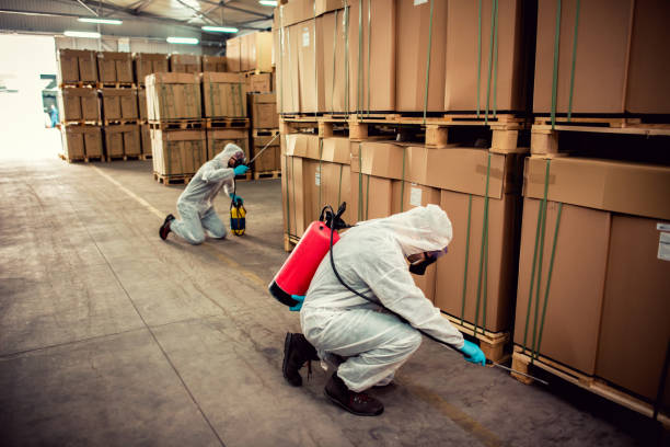 Best Ant Control Services  in North Terre Haute, IN