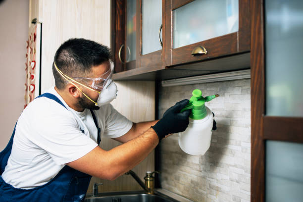 Best Affordable Pest Control Services  in North Terre Haute, IN
