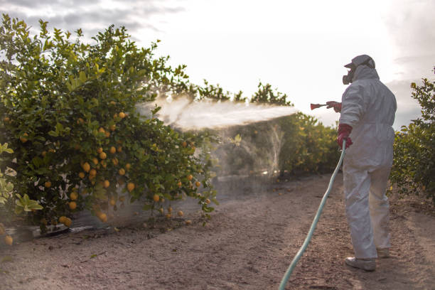 Best Mosquito Control Services  in North Terre Haute, IN